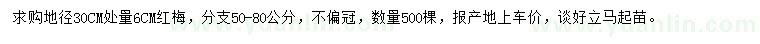 求購地徑6公分紅梅