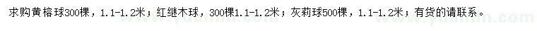 求購黃榕球、紅繼木球、灰莉球