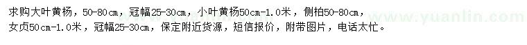 求購大葉黃楊、小葉黃楊、側柏
