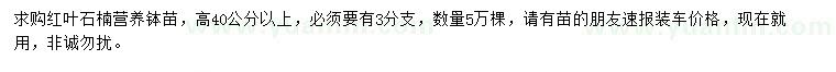 求購高40公分以上紅葉石楠營養(yǎng)缽苗
