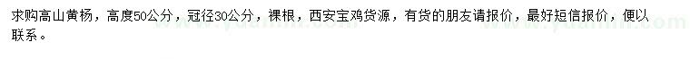求購高50公分高山黃楊