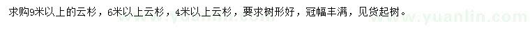 求購4、6、9米以上云杉