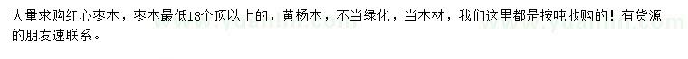 求購紅心棗木