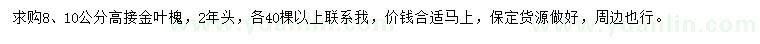 求購8、10公分高接金葉槐