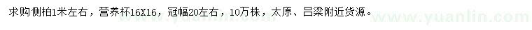 求購1米左右側柏
