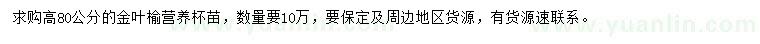 求購高80公分營養(yǎng)杯金葉榆