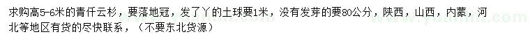 求購高5-6米青仟云杉