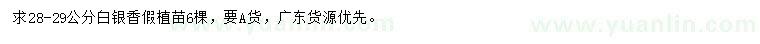 求購28-29公分白銀香