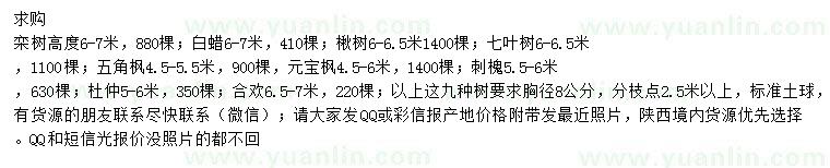 求購(gòu)欒樹、白蠟、楸樹等