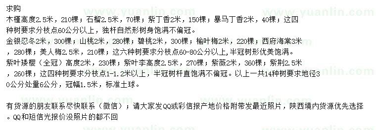 求購(gòu)木槿、紫丁香、暴馬丁香等
