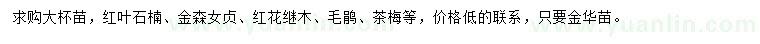 求購紅葉石楠、金森女貞、紅花繼木等
