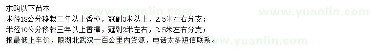 求購米徑10、18公分移栽香樟