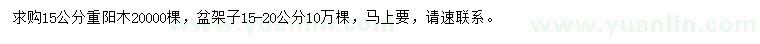 求購重陽木、盆架子