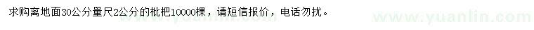 求購離地面30公分量尺2公分枇杷