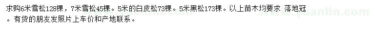 求購(gòu)雪松、白皮松、黑松