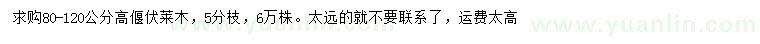 求購(gòu)高80-120公分偃伏萊木
