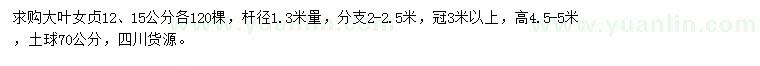求購12、15公分大葉女貞