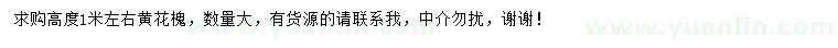 求購高1米左右黃花槐