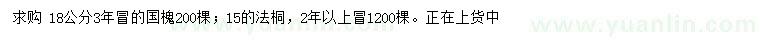 求購18公分國槐、15公分法桐