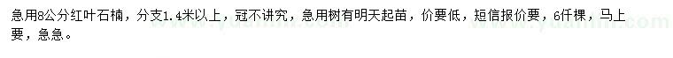 求購8公分紅葉石楠