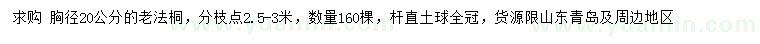 求購胸徑20公分老法桐
