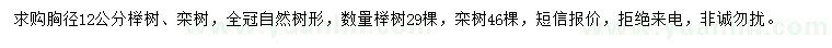 求購胸徑12公分櫸樹、欒樹