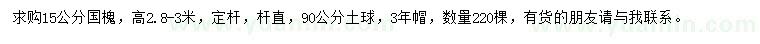 求購15公分國槐