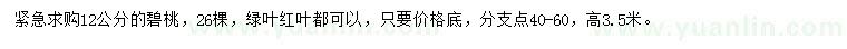 求購12公分碧桃