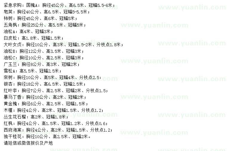 求購國槐、皂莢、柿樹等