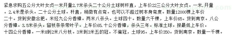求購(gòu)5公分大葉女貞