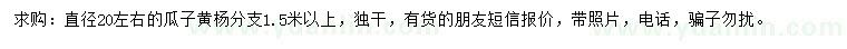 求購直徑20左右瓜子黃楊