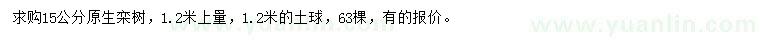 求購(gòu)15公分原生欒樹(shù)