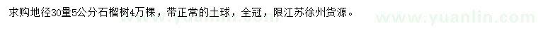 求購地徑30量5公分石榴樹