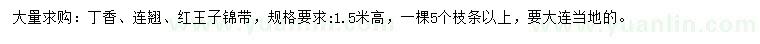 求購(gòu)丁香、連翹、紅王子錦帶