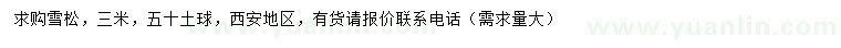 求購3米雪松
