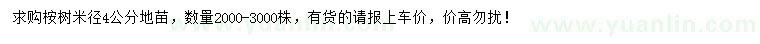 求購米徑4公分桉樹