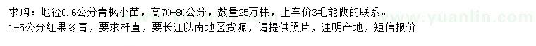 求購地徑0.6公分青楓、1-5公分紅果冬青