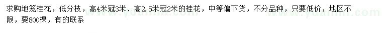 求購高2.5、4米桂花樹