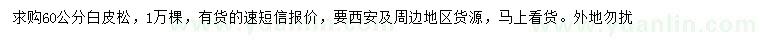 求購(gòu)60公分白皮松