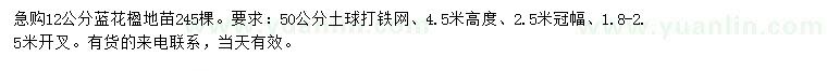 求購(gòu)12公分藍(lán)花楹