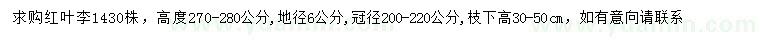 求購(gòu)高270-280公分紅葉李