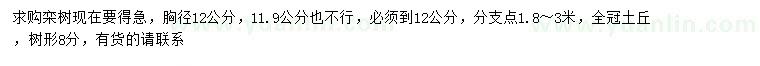 求購(gòu)胸徑12公分欒樹(shù)