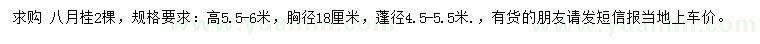 求購高5.5-6米八月桂