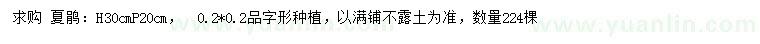 求購(gòu)高30公分夏鵑