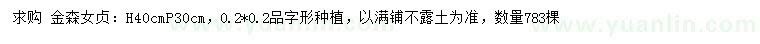 求購(gòu)高40公分金森女貞