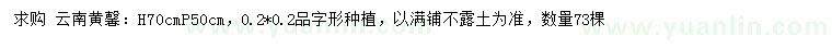 求購(gòu)高70公分云南黃馨