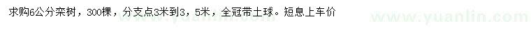 求購6公分欒樹
