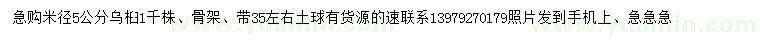 求購5公分烏桕