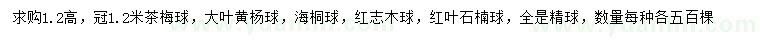 求購(gòu)茶梅球、大葉黃楊球、海桐球等