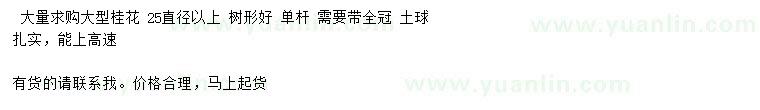 求購桂花、桂花樹